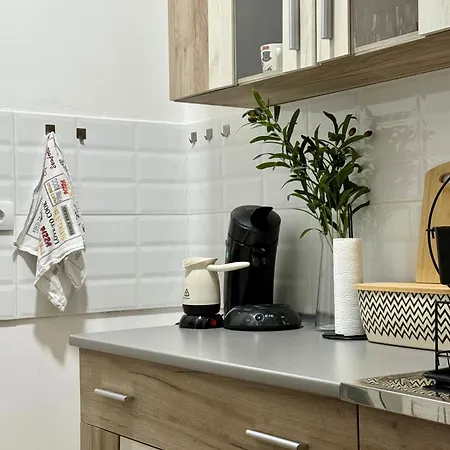 Mir Apartment Temerin